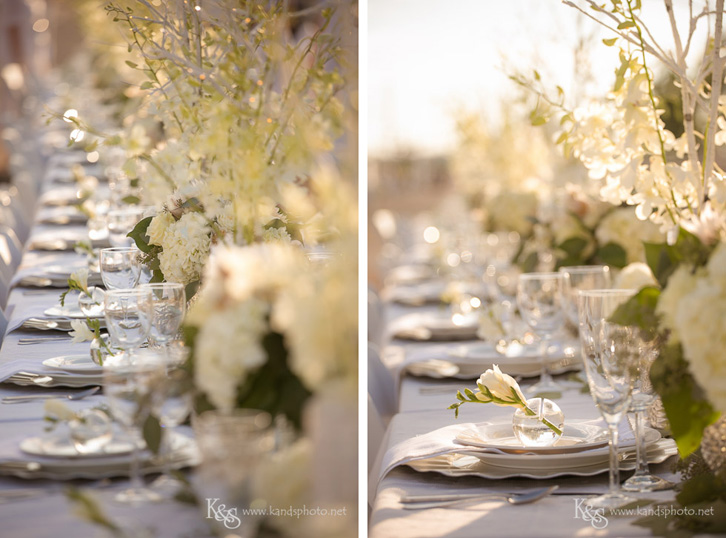 Diner en Blanc Dallas
